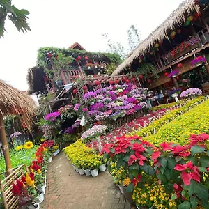 khamy-riverside-resort.hotelsofhoian.com/